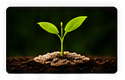 PERSONAL GROWTH